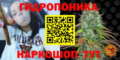 прущая мука Пугачёв