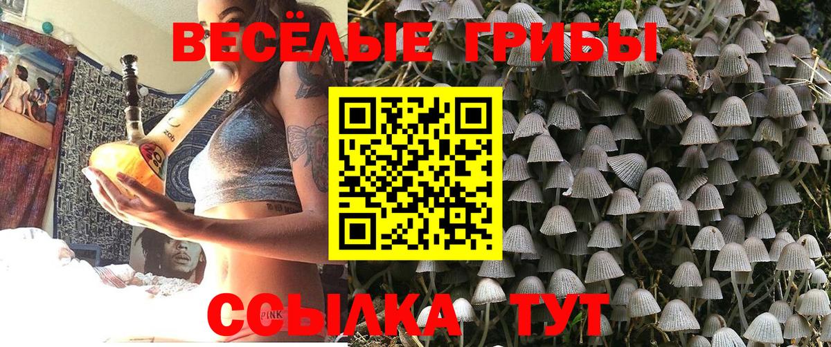 Галлюциногенные грибы Magic Shrooms Россия