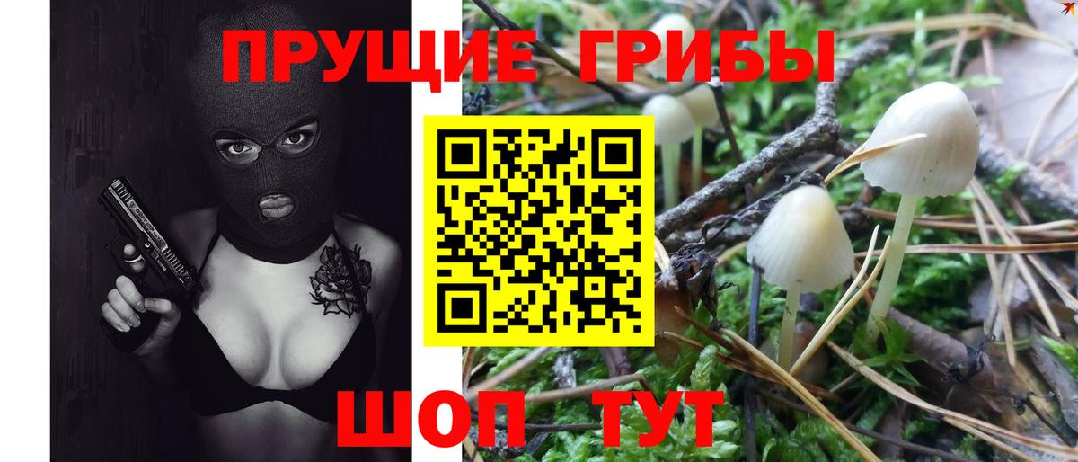 Галлюциногенные грибы Cubensis  Вход с VPN  Россия 